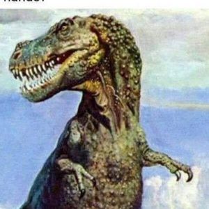 Meet your Posher, Joy